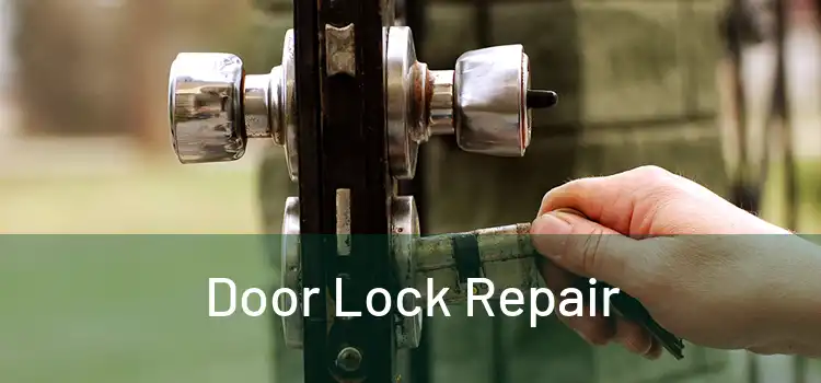 Door Lock Repair