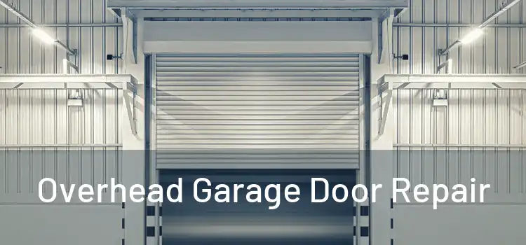 Overhead Garage Door Repair 